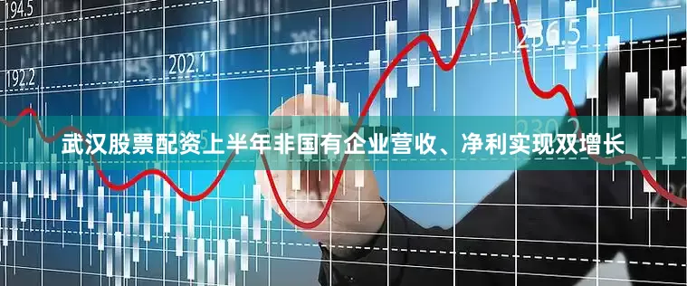 武汉股票配资上半年非国有企业营收、净利实现双增长
